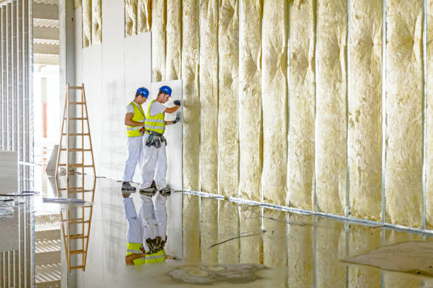 Best Insulation Maintenance and Repair in Burney, CA